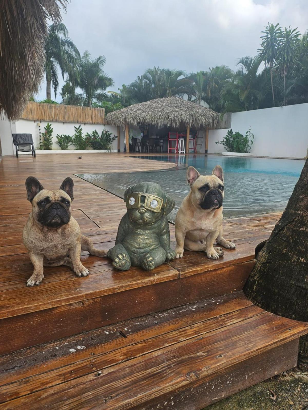 La Casita Chambre Individuelle Las Terrenas Bagian luar foto